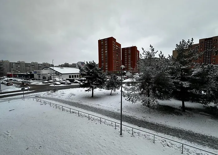 Tallinn's Prime Spot: Pae 49 - Near Airport, Concerts & Shops Apartment Tallinn