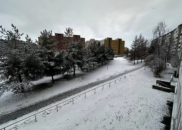 Tallinn's Prime Spot: Pae 49 - Near Airport, Concerts & Shops Apartment *