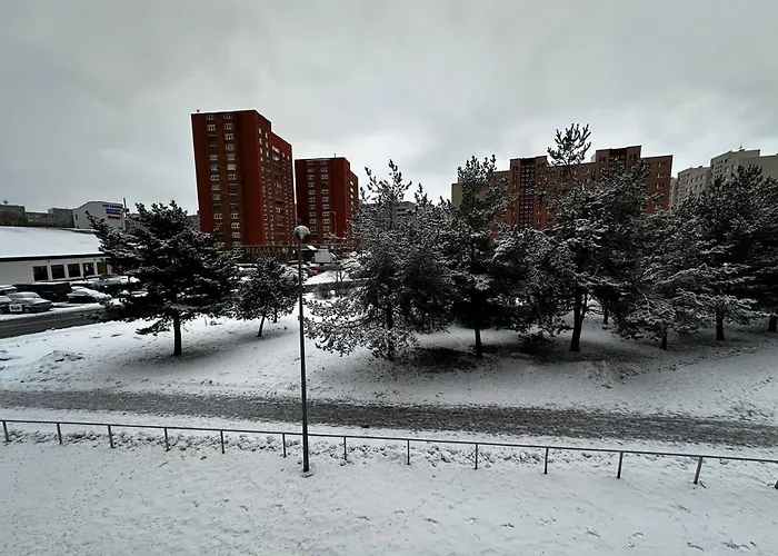 Apartment Tallinn's Prime Spot: Pae 49 - Near Airport, Concerts & Shops Tallinn